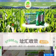 速冻玉米批发_橡子粉批发_橡子冷面-抚顺金宇食品有限公司