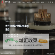 鸿特电缆有限公司