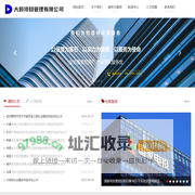 大颐项目管理有限公司-可行性报告