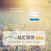投票系统-管理平台