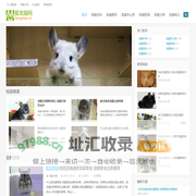爱龙猫网只为龙猫健康生活-爱龙猫网