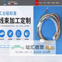 连接线-线束-端子线-东莞市艾嘉电子有限公司
