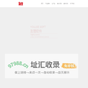用友软件-上海友理信息技术有限公司