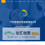 广州市辰海财务咨询有限责任公司