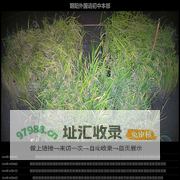 朝阳外国语初中本部