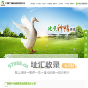 广西南宁市瑞南禽业有限责任公司-樱桃谷鸭苗-肉鸭-种鸭-鸭苗