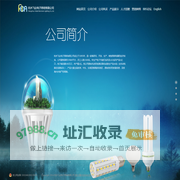 杭州飞达电子照明有限公司