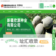 新疆哈密瓜种子_新疆哈密瓜种子公司_哈密瓜种子价格-新疆欣源种业有限公司