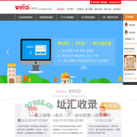 合肥网站制作_合肥网站建设_做网站公司_优化推广哪家好_卫来网络公司