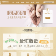 中金保险经纪
