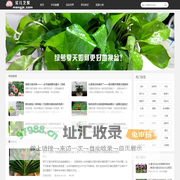 花儿之家_花卉养护的温馨港湾