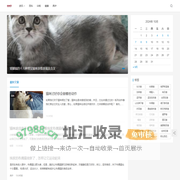 百宝猫 - 猫咪百科全书，宠物猫咪百科网