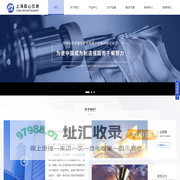 上海辰心仪表有限公司