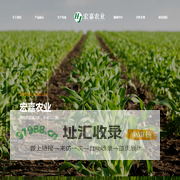 哈尔滨宏嘉农业发展有限公司_青储饲料