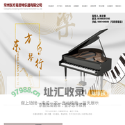 常州东方易思特乐器有限公司
