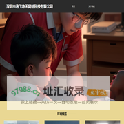 深圳市逸飞冲天网络科技有限公司