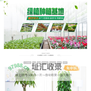 广州绿植租摆租赁_花卉租摆租赁-乐灵园艺