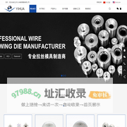 钻石异型拉丝模,钨钢拉丝模具,粉末冶金模具-任丘市义华精密模具有限公司
