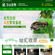 辰溪县兰山生物科技有限责任公司_娃娃鱼种鱼养殖|怀化大鲵销售