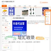 小牛科技-武汉小牛轰轰科技有限公司