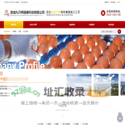 宣城九只鸭健康科技有限公司官网