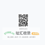 玩家平台
