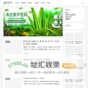 库拉索芦荟网-库拉索芦荟_植物百科