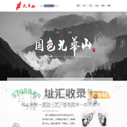 安徽九华山酒业股份有限公司