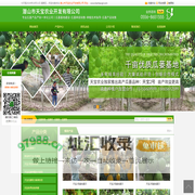 瓜蒌苗_瓜蒌种植基地_瓜蒌种植效益-潜山市天宝农业开发有限公司