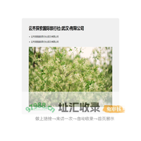 云齐探索国际旅行社(武汉)有限公司