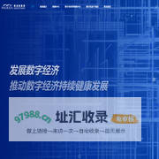 麦迪森集团-数字科技 赋能未来