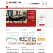 中国小额贷款公司协会