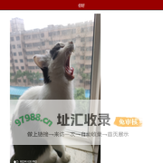 中文