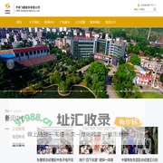 中国有色集团（广西）平桂飞碟股份有限公司