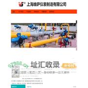 首页-上海维萨仪表制造有限公司