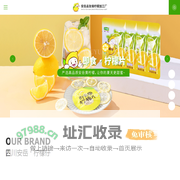 安岳柠檬_柠檬_即食柠檬片_柠檬蜜饯_柠檬茶_安岳县友缘柠檬加工厂