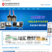 高压包-天长市奥凯电子有限公司