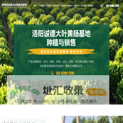偃师市邙岭镇诚德大叶黄杨直销部