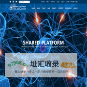 系统神经与认知科学研究所