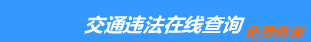 （手机版）武汉交通违章查询-武汉违章查询网