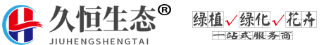「久恒生态」花卉绿植租赁,花木租摆,植物出租,绿化养护公司