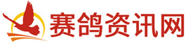 手机赛鸽资讯网