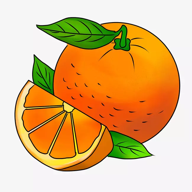 木紫网络科技