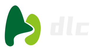 DLC 1.0 租赁系统