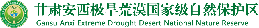 甘肃安西极旱荒漠国家级自然保护区