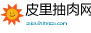 皮里抽肉网