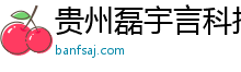 贵州磊宇言科技有限公司