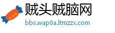 贼头贼脑网