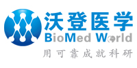 沃登医学【官网】-实验外包|医学实验外包|生物实验外包|动物实验外包|代做医学课题|课题实验外包|课题整体外包|sci论文服务