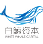 白鲸首页